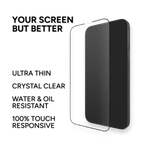THE SCREEN SHIELD